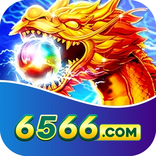 6566 LOGO