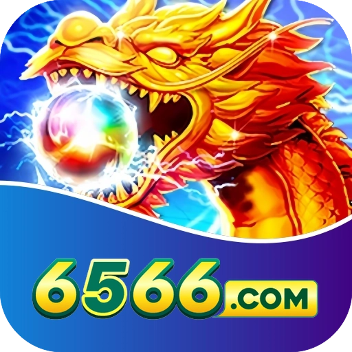 6566 logo